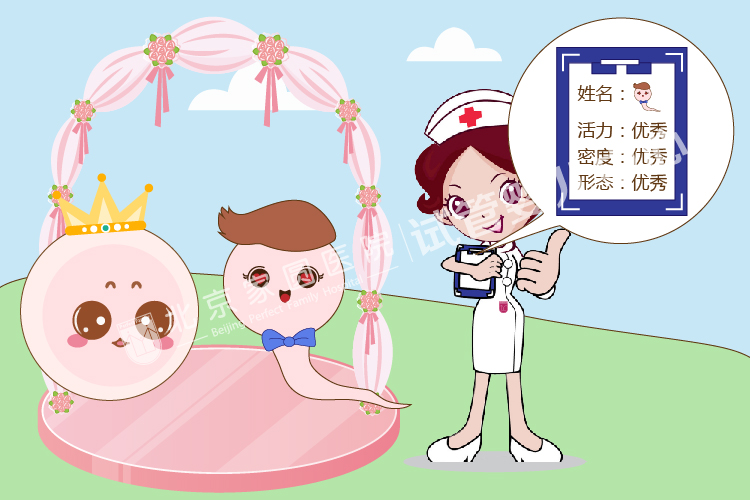 关于供卵试管婴儿有很多你不知道的事情