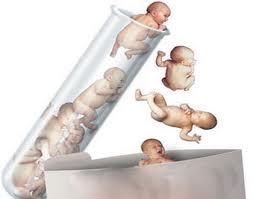 解释供卵试管婴儿过程的详细步骤