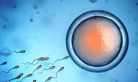 精子成活率20%可以借卵做试管供卵生子吗？
