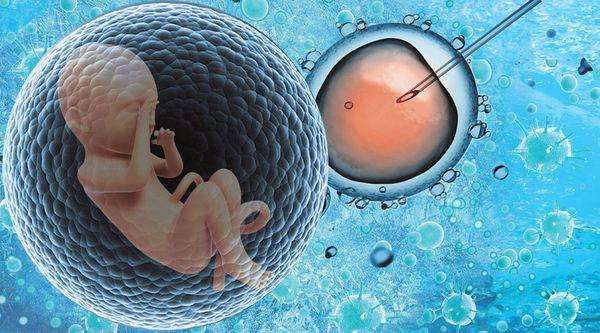 子宫内膜异位症做借卵试管成功案例分析,移植方案的选择很重要