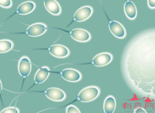 安徽合肥一医院做供卵试管婴儿