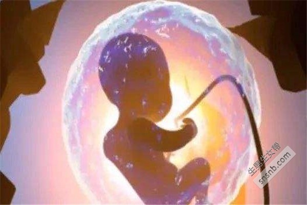 婴儿供卵试管胚胎移植