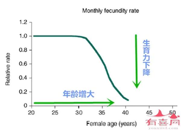 合肥哪里做试管婴儿最好的医院