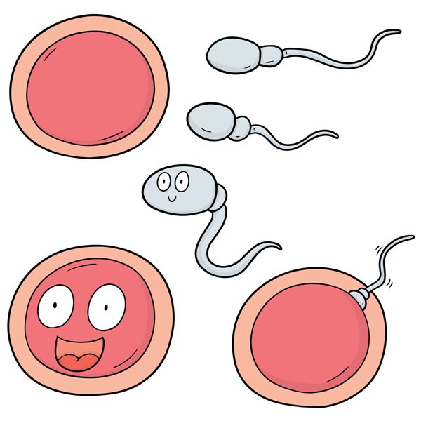供血卵巢症状+卵巢供血不足的症状