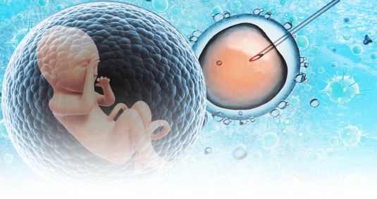 安徽合肥靠谱代怀婴儿+合肥供卵包生试管代怀孕
