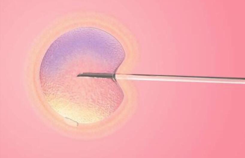 为什么养11个囊胚没有一个成功,取卵后什么胚胎医生才会建议养囊