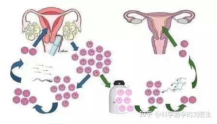 安徽合肥做借卵试管公司婴儿的医院（合肥试管供卵试管代怀机构婴儿医院排名）