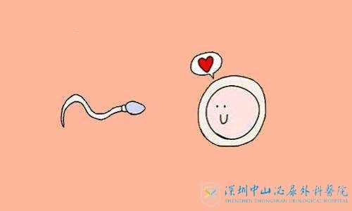 5个月畸形胎儿引产生育安徽合肥贴怎么算