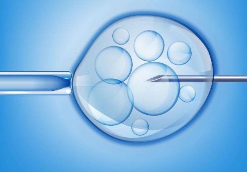 25岁试管备孕女性请注意,4个基础卵泡会影响成功率!